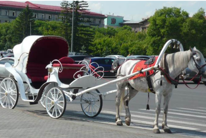 Գյումրու կառապանի նկատմամբ քրեական վարույթ է նախաձեռնվել