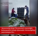 Из-за многодневного простоя на КПП «Верхний Ларс» экспортеры выбросили на свалку тонны огурцов