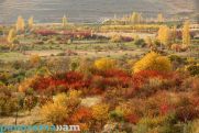 No precipitation expected in Armenia in next few days