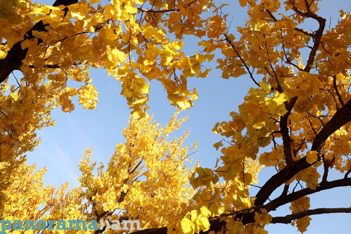 No temperature changes expected in next few days