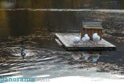 Осень задерживается: на юге Армении завтра до +24°C, в Ереване – +17°C
