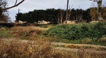 Train with US military equipment reportedly derails in northern Greece