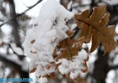 No precipitation in sight for Armenia in next few days