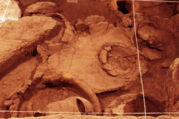 6000 лет «оно было сладким»