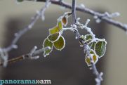 Light precipitation expected in parts of Armenia