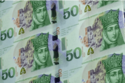 Վրաստանում նույնպես ոստիկանների աշխատավարձը կավելանա