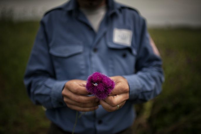 В Арцахе в блокаде находятся около 100 сотрудников HALO Trust