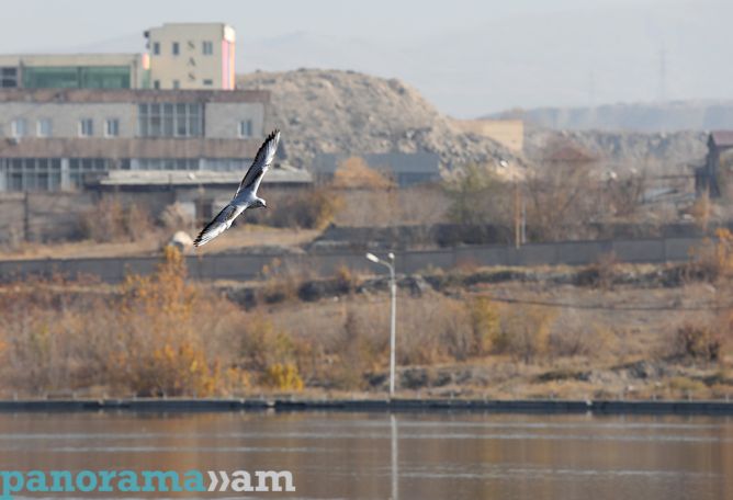 Առաջիկա օրերը Հայաստանում կլինեն առանց տեղումների
