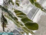 Temps to plummet in parts of Armenia