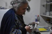 82-ամյա Ռոմելա Աղաջանյանը միայնակ է հաղթահարում շրջափակումը