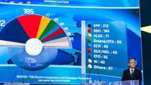 EU elections, protest vote against austerity – author