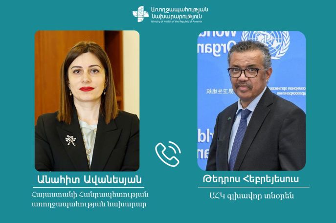 Armenian health minister, WHO chief discuss situation in Artsakh