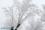 Snow, sleet in the forecast