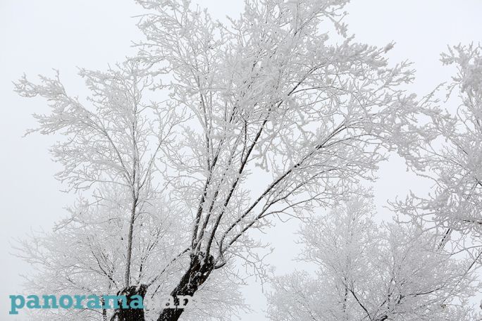 Snow, sleet in the forecast