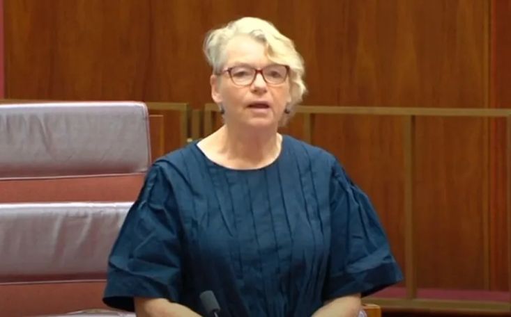 Australian Senator Janet Rice demands Azerbaijan unblock Lachin corridor