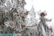 Temps set to drop across Armenia