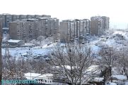 Light snow, fog in the forecast