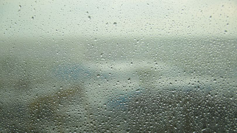 Fish 'rain' down in Australian town