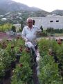 Դենդրոլոգ. Արդյո՞ք դրսի կապիտալին Հայաստանը հետքրքրում է միայն որպես խաչմերուկ և հանքավայր, թե՞ նաև որպես քաղցրահամ ջրերի պահեստ