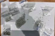 Armenian customs officers foil diamond smuggling attempt
