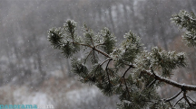Snowfall reported in Armenia's Ashotsk