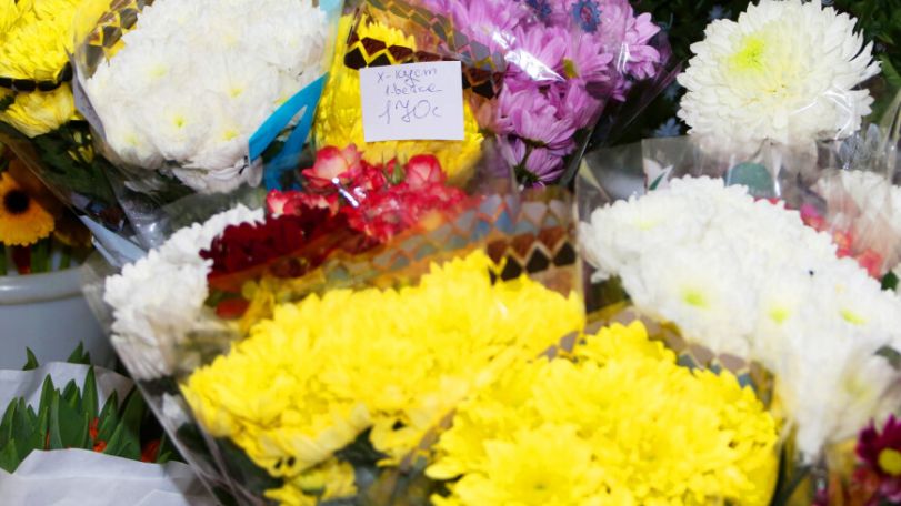 Какие цветы дарить на 8 Марта разным знакам зодиака? Рассказала астролог