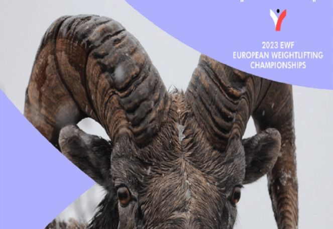 Եվրոպայի ծանրամարտի առաջնության խորհրդանիշը հայկական մուֆլոնն է