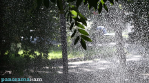 Rain, fog in the forecast