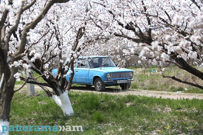 Temps to rise across Armenia
