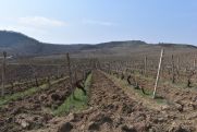 Azeri troops open fire at civilians in Artsakh