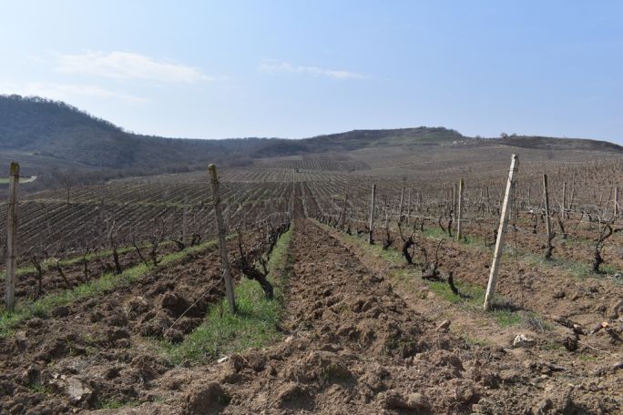 Azeri troops open fire at civilians in Artsakh