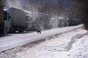Ситуация на КПП «Верхний Ларс»: дорога к границе с Россией закрыта для большегрузов
