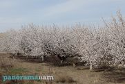 Temperatures to rise in Armenia on Sunday