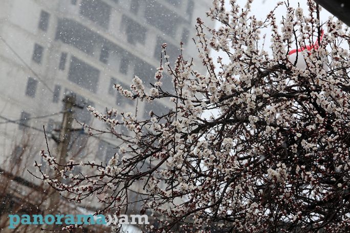 Snow, rain, fog in the forecast