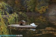 Travel off Path advises Americans to visit Armenia