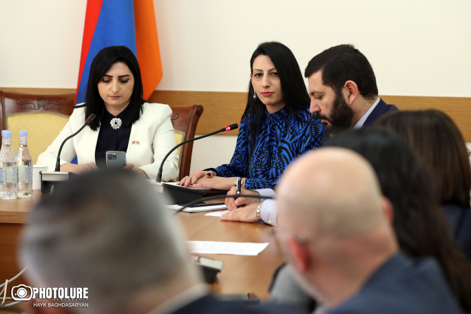 Ես բոլորովին դրական չեմ գնահատում այս մթնոլորտը. Անահիտ Մանասյանը՝ խորհրդարանում ՄԻՊ թեկնածուի ընտրության մասին