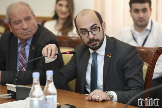 Т. Товмасян: Действия Артура Ованнисяна содержат состав преступления, мы обратимся к генпрокурору