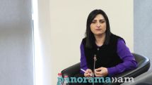 Члены ГД пришли с психологией стаи и поставили перед собой задачу превратить наше заседание в большую разборку – Т. Товмасян