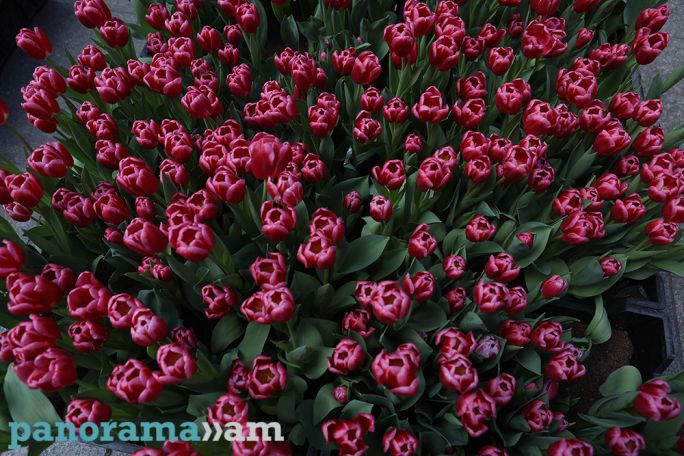 Temperatures to rise in Armenia