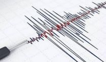 Quake hits Turkey-Iran border, felt in Armenia