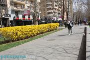 Азербайджанские спортсмены пока находятся в ереванской гостинице