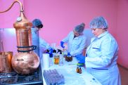 Production of natural vegetable oils established in Armenia's Spitak