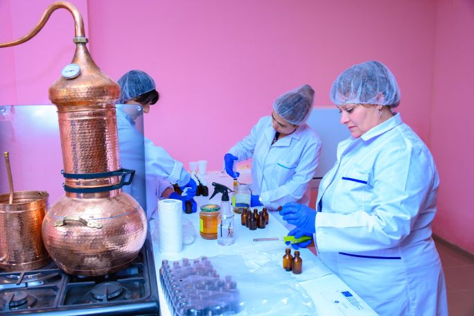 Production of natural vegetable oils established in Armenia's Spitak