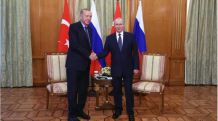 Putin to participate in delivery of fuel to Akkuyu NPP via video linkup, Erdogan says