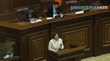 Այլապես մենք միշտ էլ կլինենք հիվանդաբուժության նախարարություն. Անահիտ Ավանեսյան
