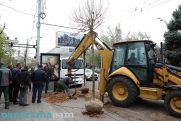 Քրիստինա Վարդանյան. Միամոմենտ հազարավոր ծառերի հատումն անօրեն է
