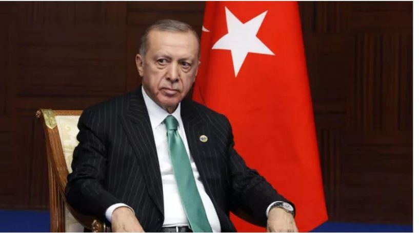 Erdogan interrupts live TV interview citing stomach bug