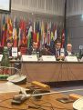 Арман Татоян представил доклад на конференции ОБСЕ в Вене