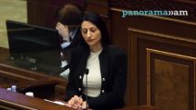 ՄԻՊ-ը՝ Թագուհի Թովմասյանի ակցիայի մասին. Վիրավորանքի տարածմանը վերաբերող հարցերը ուշադրության կենտրոնում են