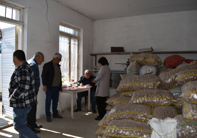 ATP, AMAA and Tufenkian Foundation provide seed potatoes to Artsakh residents
